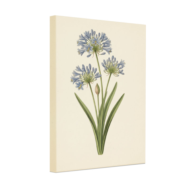 Plantes et fleurs, imprimé botanique bleu Agapanthus, H 18 po x l 12 po