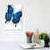 Beach Butterfly by Ashvin Harrison - Print on Canvas