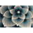 Stinson Floral Indoor Rug