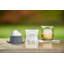 Tovolo Tennis Ball Ice Molds