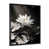 Cadre photo noir simple