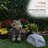 Animals Garden Statue