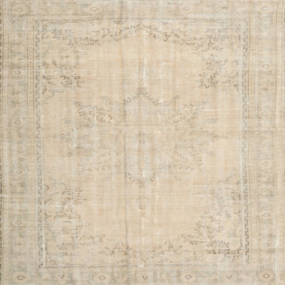 Oriental Indoor Rug