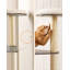 165cm H Cat Tree-89157862