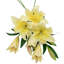 Lis artificiels à tiges florales-86731888