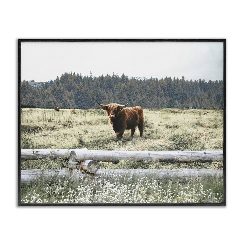 Bétail surplombant la clôture, art de la giclée noire encadrée par Gail Peck, H 11 po x l 14 po, Giclée encadrée noir minuit
