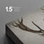 Abstrait botanique abstrait sur fond graphite, animaux sauvages - reproduction sur toile tendue-74177695