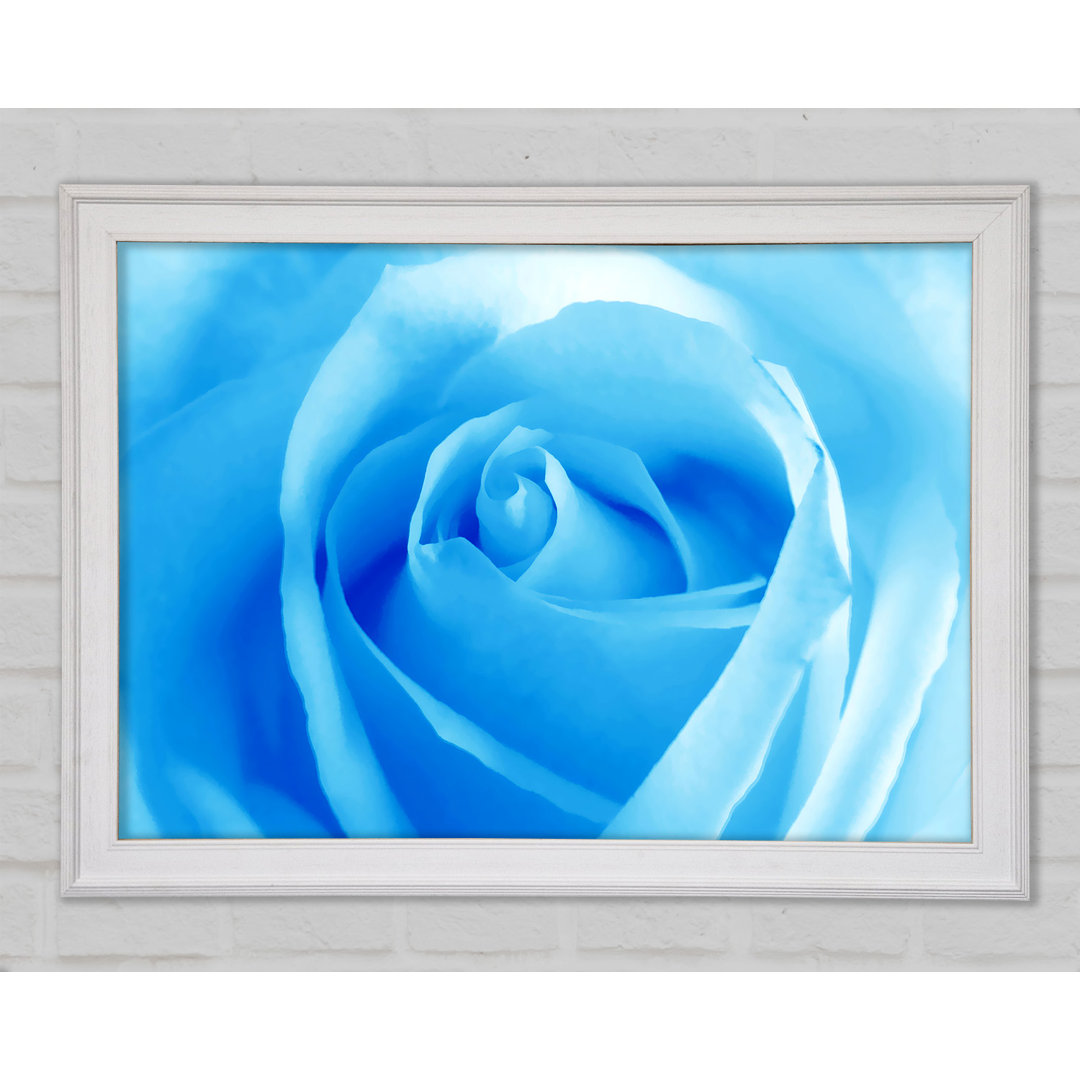 Baby Blue Rose Gerahmter Druck