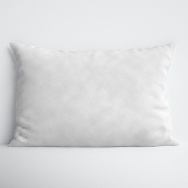 https://assets.wfcdn.com/im/89073060/resize-h600-w600%5Ecompr-r85/2364/236481638/Steves+Pillow+Cover.jpg