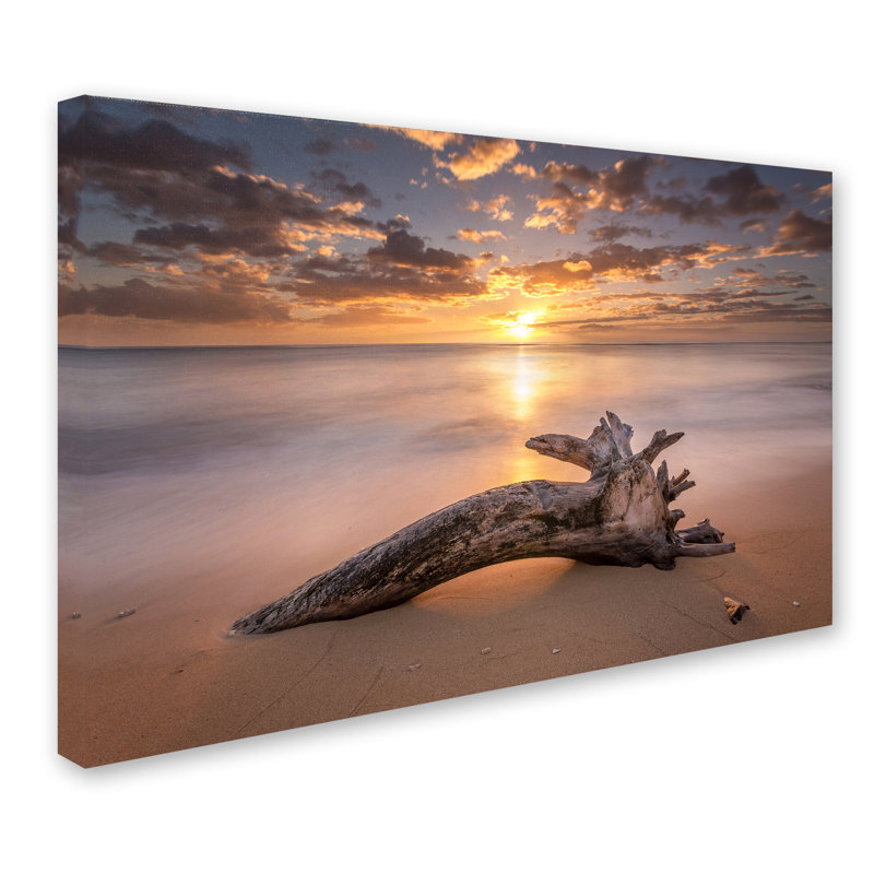 Sunrise Beach Tree Landscape Canvas Print