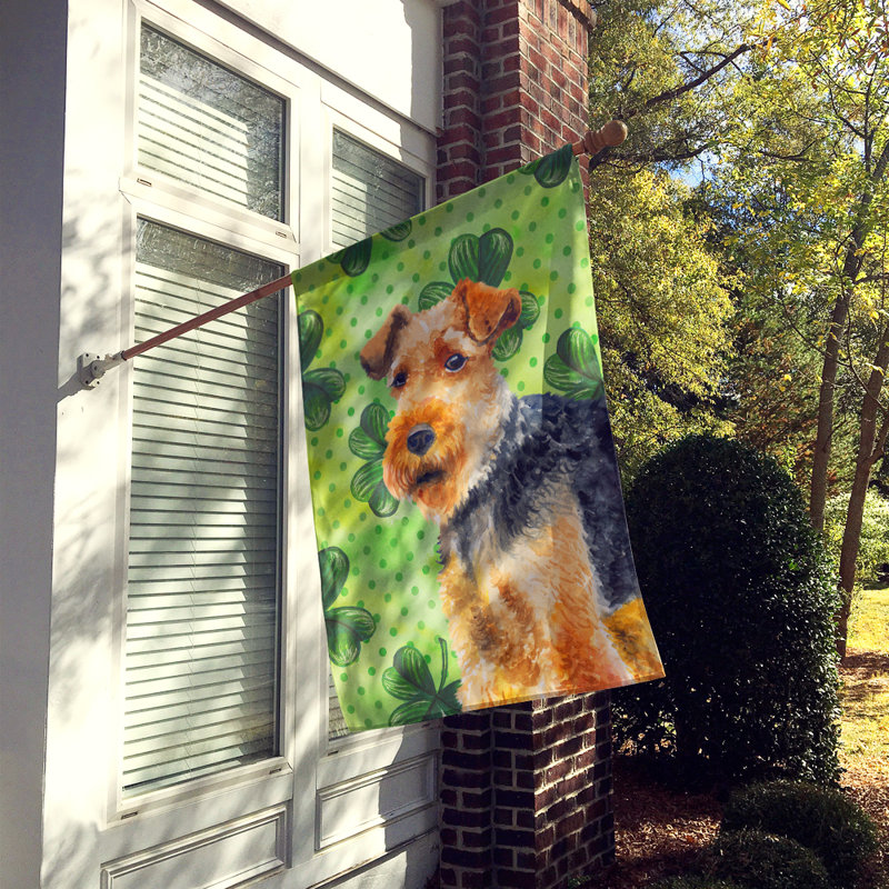 40 x 28 po en polyester à 2 côtés de la st patrick drapeau maison, Terrier gallois blond / noir