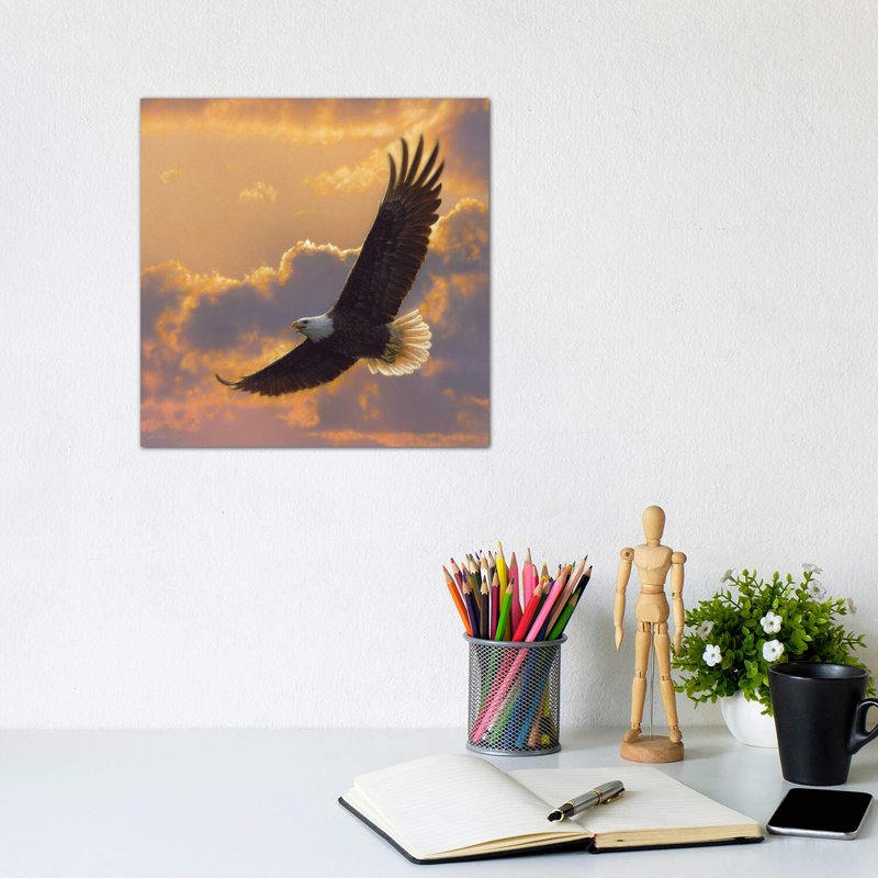 «Soaring Spirit - Bald Eagle» par Collin Bogle Print, H 12 po x l 12 po x P 1,5 po, Toile encadrée noire