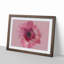Layers of a Pink Gerbera in Abstract - Picture Frame Graphic Art Print-55777477-55777480
