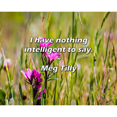 Meg Tilly Quote: I have nothing intelligent to say.
