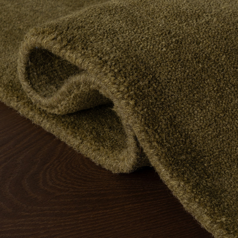Gania Modern Green Rug, Rectangle 4' x 6'