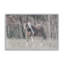 «Sunny Field III» par Nathan Larson, reproduction d'art-114322666-114322667