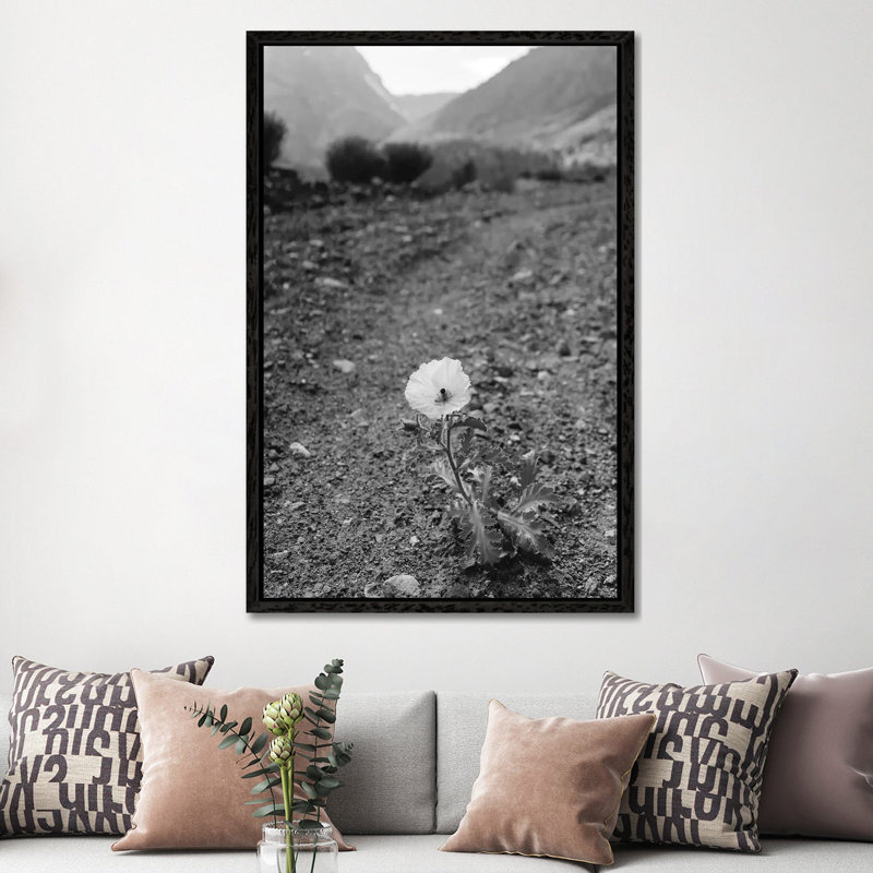 Monochrome Yosemite Bloom by Bethany Young - Print on Canvas, 152.4cm H x 101.6cm W x 3.81cm D, Black Framed