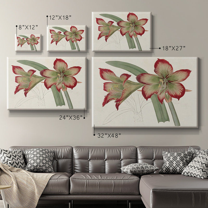 Amaryllis Varietals IV Premium Gallery Wrapped Canvas - Ready to Hang, 18" H x 27" W
