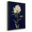 " Pretty As A Peony II "-1312127264-1249044116