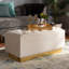 Eldora Velvet Ottoman-967862072