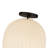 Cherise Glass Semi Flush Mount-113873903