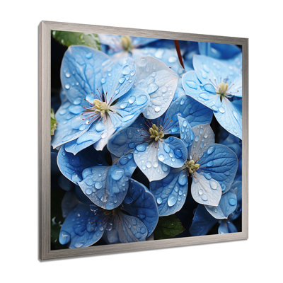 Blue Hydrangea Celestial Petals - Floral Wall Art Prints