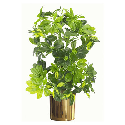 Analyssa 65 cm H Faux Foliage Plant