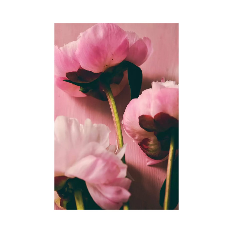 Pink Peony II by Olivia Joy StClaire - Wrapped Canvas Print, 66.04cm H x 45.72cm W x 1.91cm D