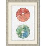 Tropical Urchin 1 Print