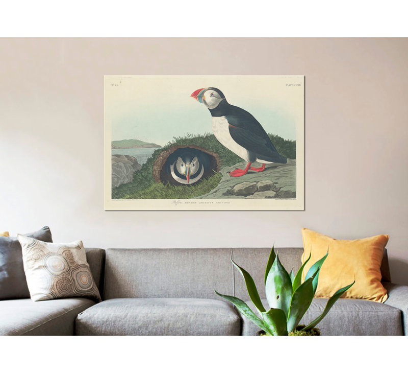 «Puffin», impression sur toile, H 8 po x l 12 po x P 0,75 po, Toile tendue, Non mat