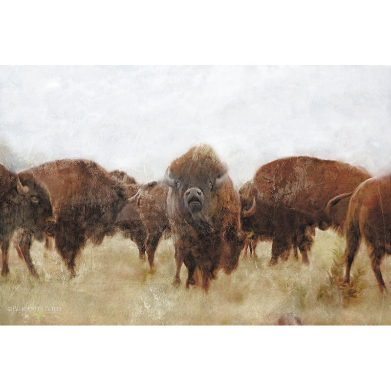 " Buffalo ", 8" H x 12" W, No, Wrapped Canvas