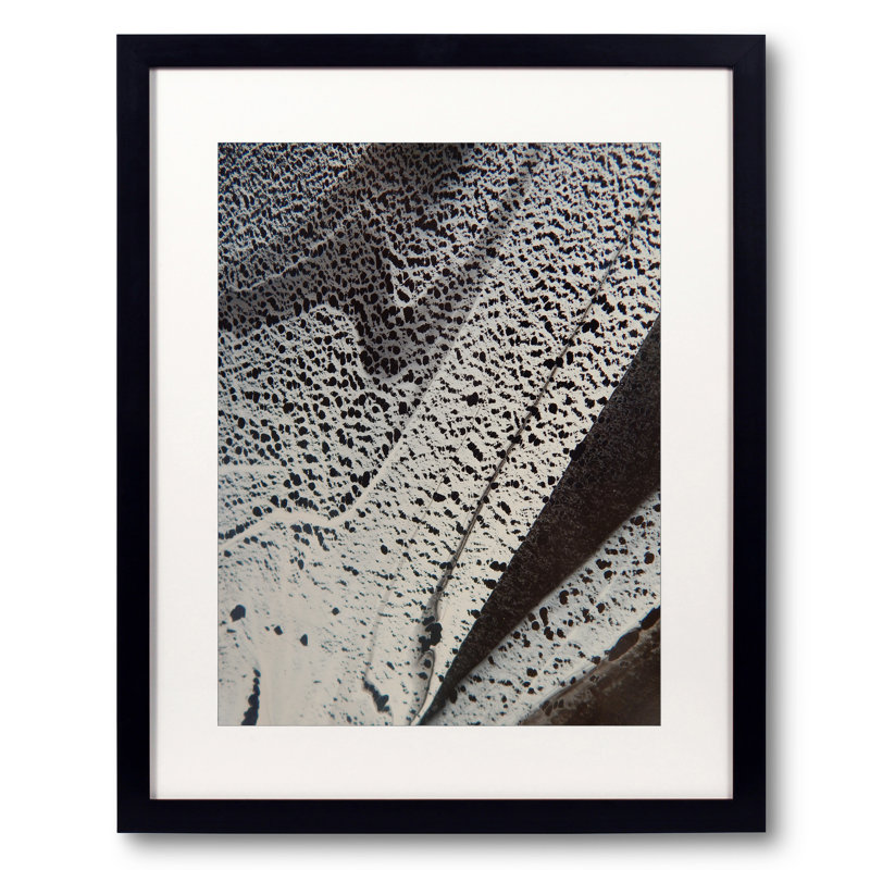 SHADOWS par Will Birdwell, H 21,25 po x l 17,25 po x P 0,875 po