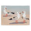 Tapis de cuisine Boller-1058271113