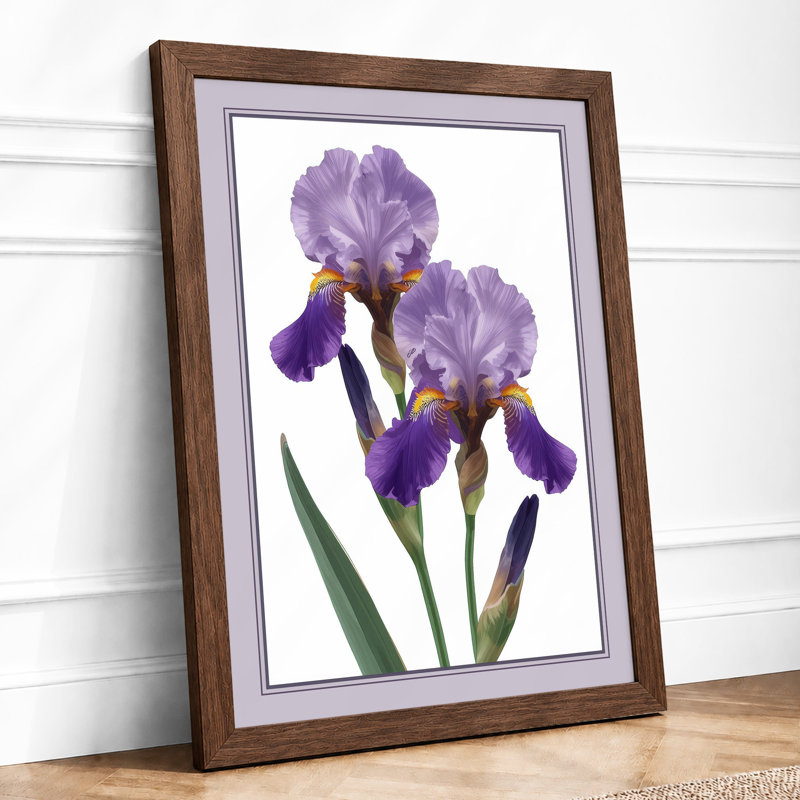 Twin Irises Botanical - Framed Print, A4 - 29.7 x 21.0 cm, Walnut