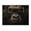 Afrique Gorillas Majesty sur bois-287215225