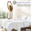 Ensemble de housse de couette 100% coton percale uni - Comprend 1 housse de couette et 2 taies décoratives-128537758-128537759