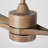 Jaclyn 42'' Ceiling Fan with LED Lights-746310772