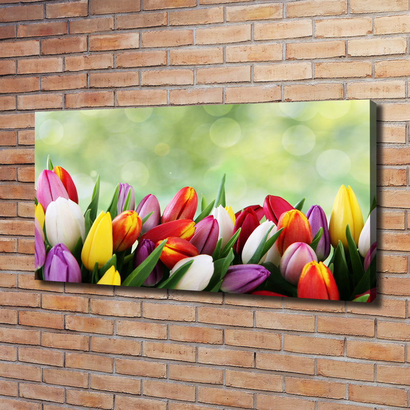 Colourful Tulips 1 Piece Wrapped Canvas Wall Art