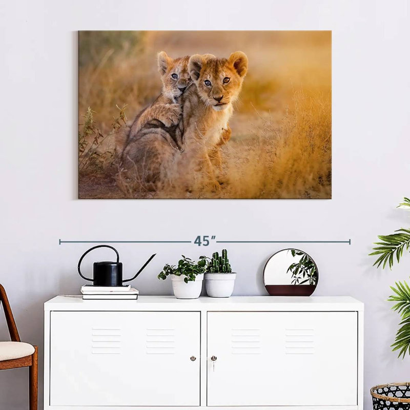 Adorables lionceaux Brampt, H 26 po x l 39 po