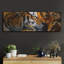 "Tigers Sleep" par Murray Henderson Fine Art-1173734888