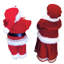 12 "M. et Mme Claus noirs