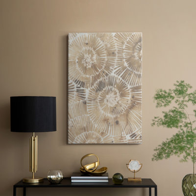 Fossil Nautilus I -Gallery Wrapped Cavas