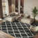 Darrold Hudson Shag Performance Geometric Rug
