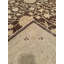 Tapis en laine et coton crème noué à la main Original Original