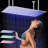 LED Luxury Large Ceiling Rectangle Rainfall Shower Head, 16x32inch High Pressure Rain Showerhead with Silicone Nozzles Full Body Fixed Showerheads For Modern Bathroom, Black Finish-100681584