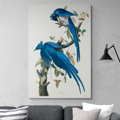 Fyre Columbia Jay Birds by John Audubon - 1 Piece Wrapped Canvas Wall Art