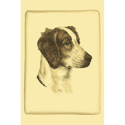 Prntd Danchin Brittany Spaniel (ST) by Danchin - Wrapped Canvas Painting