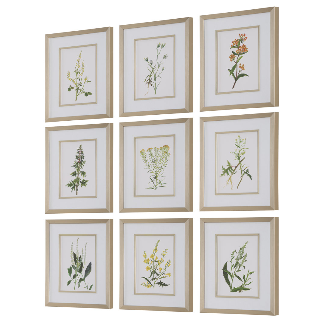 Botanical Flowers Framed Prints, S/9 Red Barrel Studio®