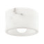 Loris 1 Light Flush Mount/Wall Sconce - Polished Nickel Finish