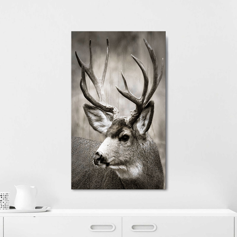 "Focused Buck" par Danita Delimont, reproduction sur toile, H 40 po x l 24 po
